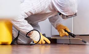 Real Estate Pest Inspections in Macarthur, WV